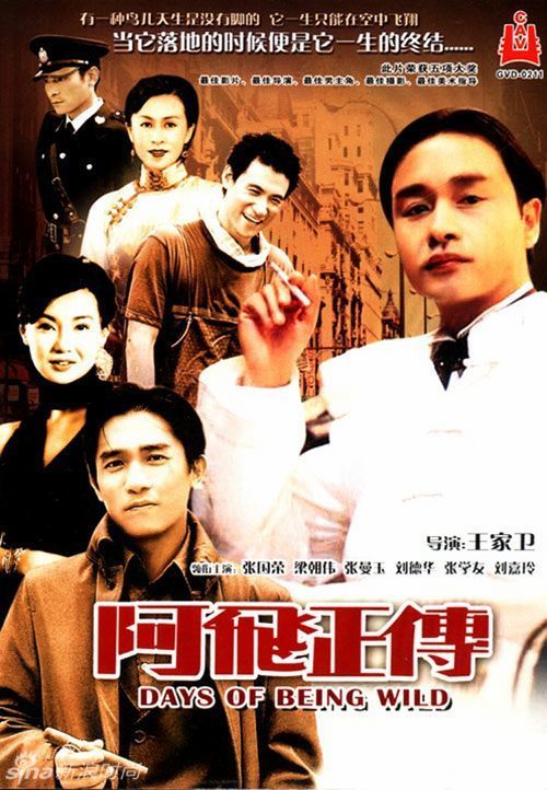 蒙大拿大学会计文凭证书